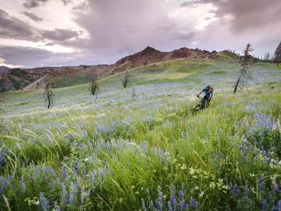 Spring Mountain Trail